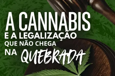 A cannabis e a legalização que não chega pra quebrada